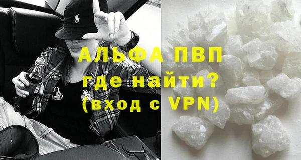ECSTASY Богданович