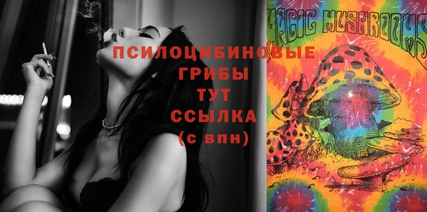 винт Белокуриха