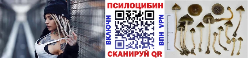 Галлюциногенные грибы мицелий  Бокситогорск 